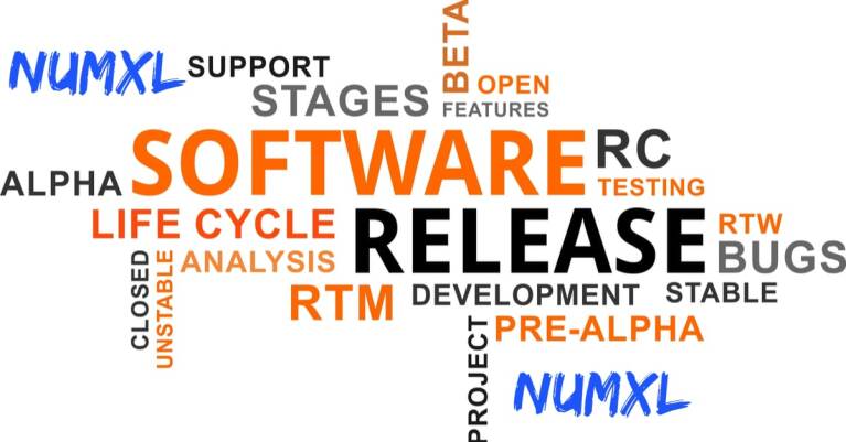 NumXL software development and release